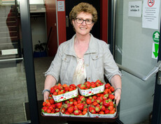 Caritas-Mitarbeiterin mit frischen Erdbeeren