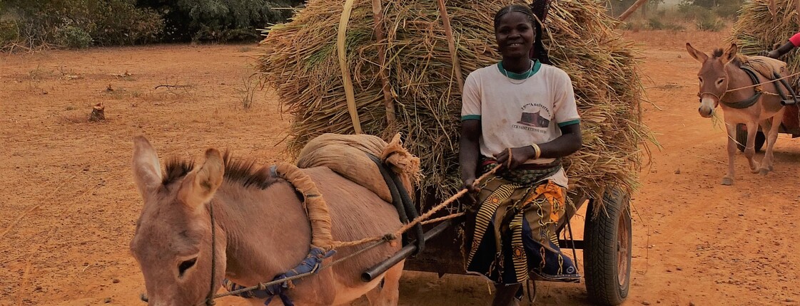 Eine Frau fährt mit einem Eselskarren voller Heu durch ein Dorf in Burkina Faso.