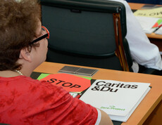 Zero Project Caritas Essl