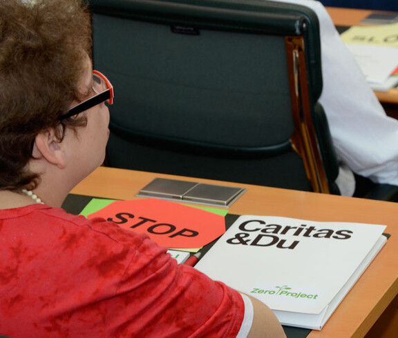 Zero Project Caritas Essl