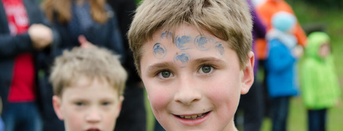 Laufwunder Caritas St. Pölten 2015