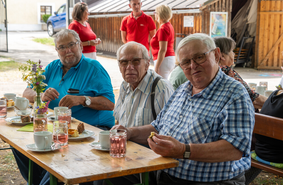Ältere Männer mit Brillen und Kuchen bei einem Treffen in Österreich