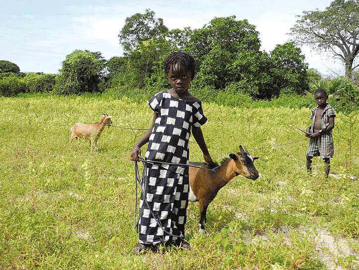 Kinder mit Ziegen auf Feld