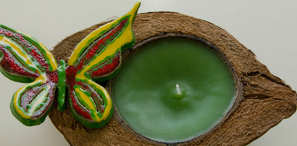 Werkstatt Loosdorf Produkt eine grüne Kerze in einer Feigenschale mit einem grünen Schmetterling 