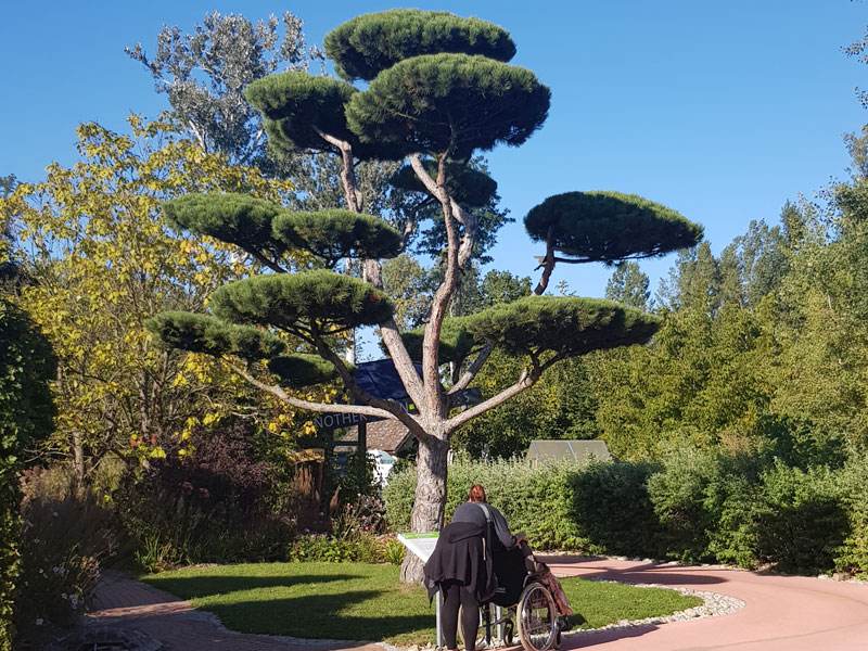 Ausflug zur Garten Tulln Caritas St.Pölten